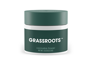 Dutch Treat Haze by Grassroots