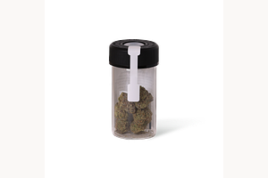 Candy Margy by Zion