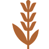 Linalool Terpene Icon
