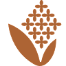 Terpinolene Terpene Icon