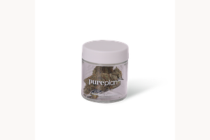 Grape Junky by Pure Plan