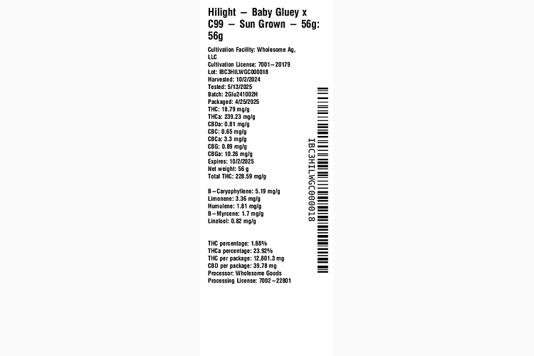 Baby Gluey x C99 by Hilight