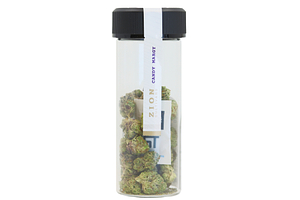 Candy Margy by Zion Cultivars