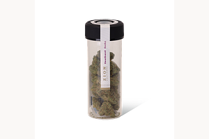 Headband x Zuchi by Zion Cultivars
