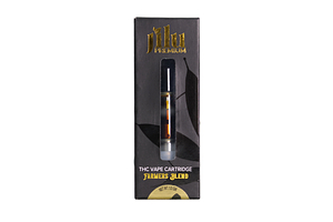Northern Lights by Jilu Premium by Life Elevated