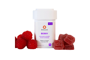 Med Vegan Berry Gummies — 100 mg THC Total 10 mg per gummy (10 per jar) by Boojum
