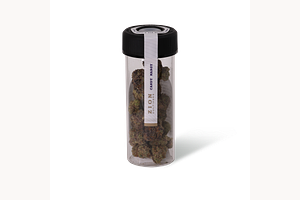Candy Margy by Zion