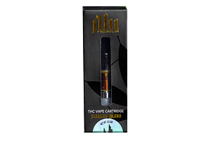 Northern Lights by Jilu Premium by Life Elevated