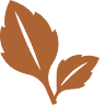 Ocimene Terpene Icon