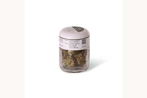 Maple Canyon Kush by Dragonfly