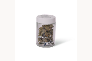 Spritzer by Pure Plan